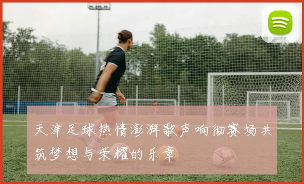 天津足球热情澎湃歌声响彻赛场共筑梦想与荣耀的乐章