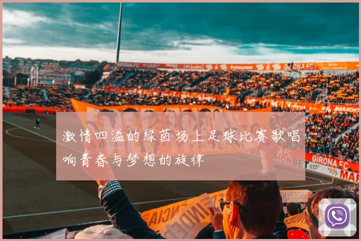 激情四溢的绿茵场上足球比赛歌唱响青春与梦想的旋律