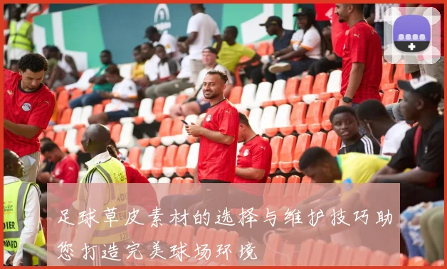 足球草皮素材的选择与维护技巧助您打造完美球场环境