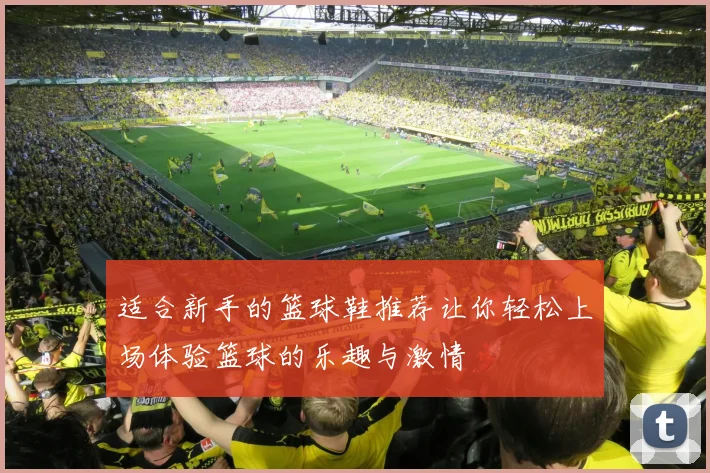 适合新手的篮球鞋推荐让你轻松上场体验篮球的乐趣与激情