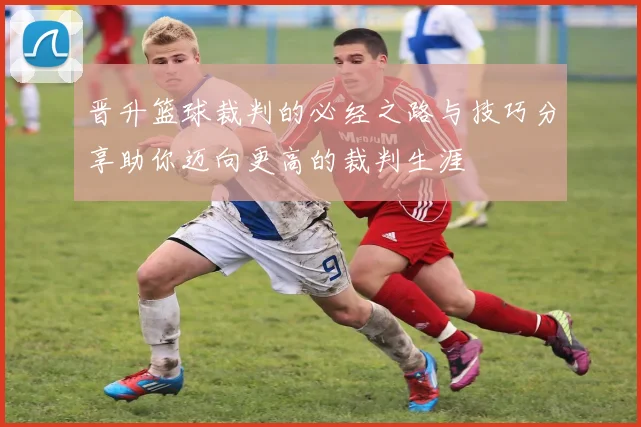 晋升篮球裁判的必经之路与技巧分享助你迈向更高的裁判生涯