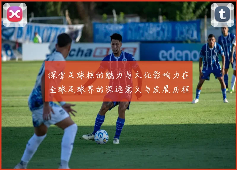 探索足球棕的魅力与文化影响力在全球足球界的深远意义与发展历程