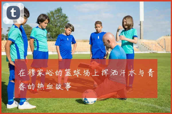在穆家峪的篮球场上挥洒汗水与青春的热血故事