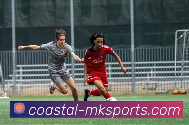 MK体育APP 封面图